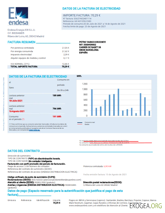 Spain Endesa utility bill word and pdf template